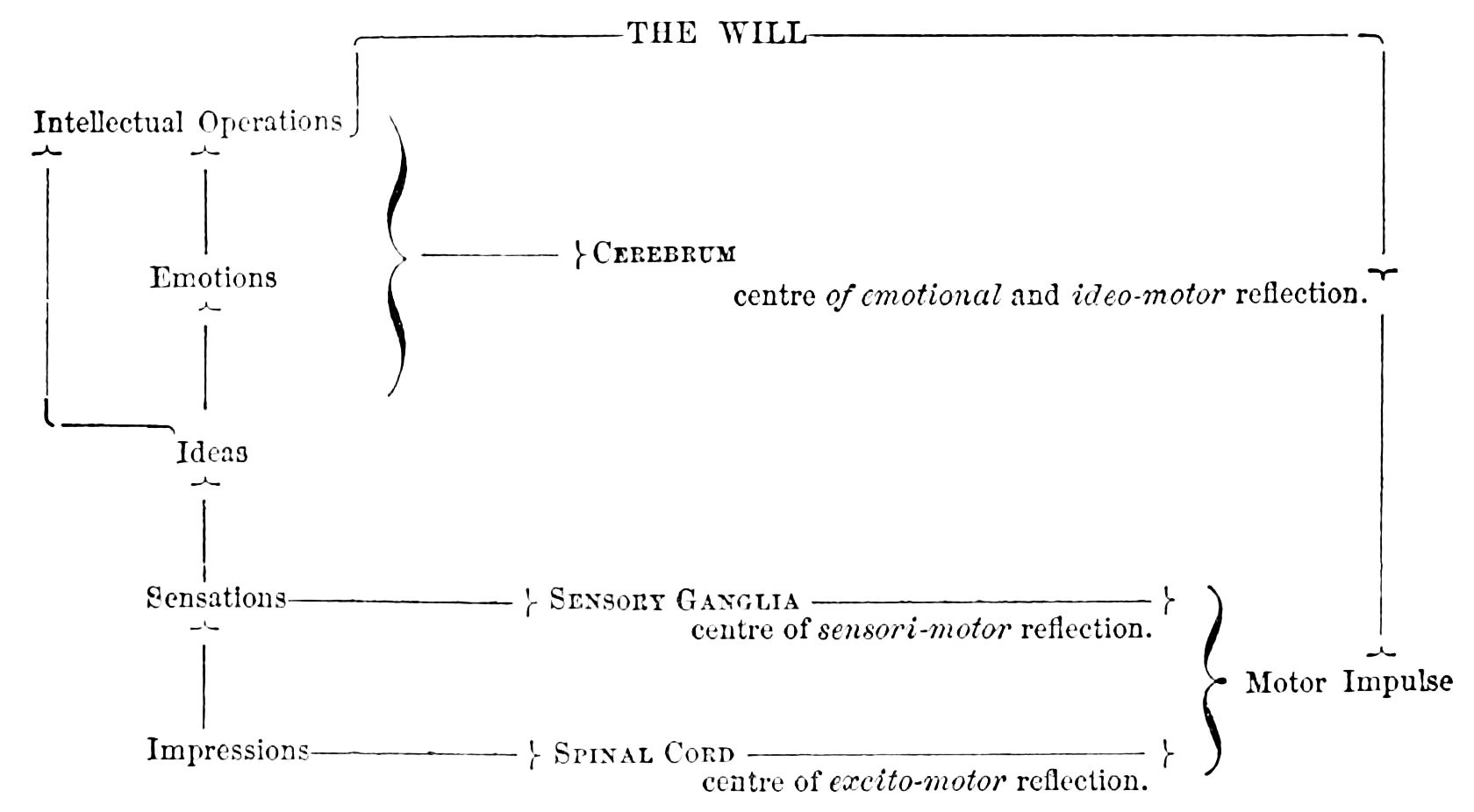 Diagram illustrating how repeated habits rewire your brain over time